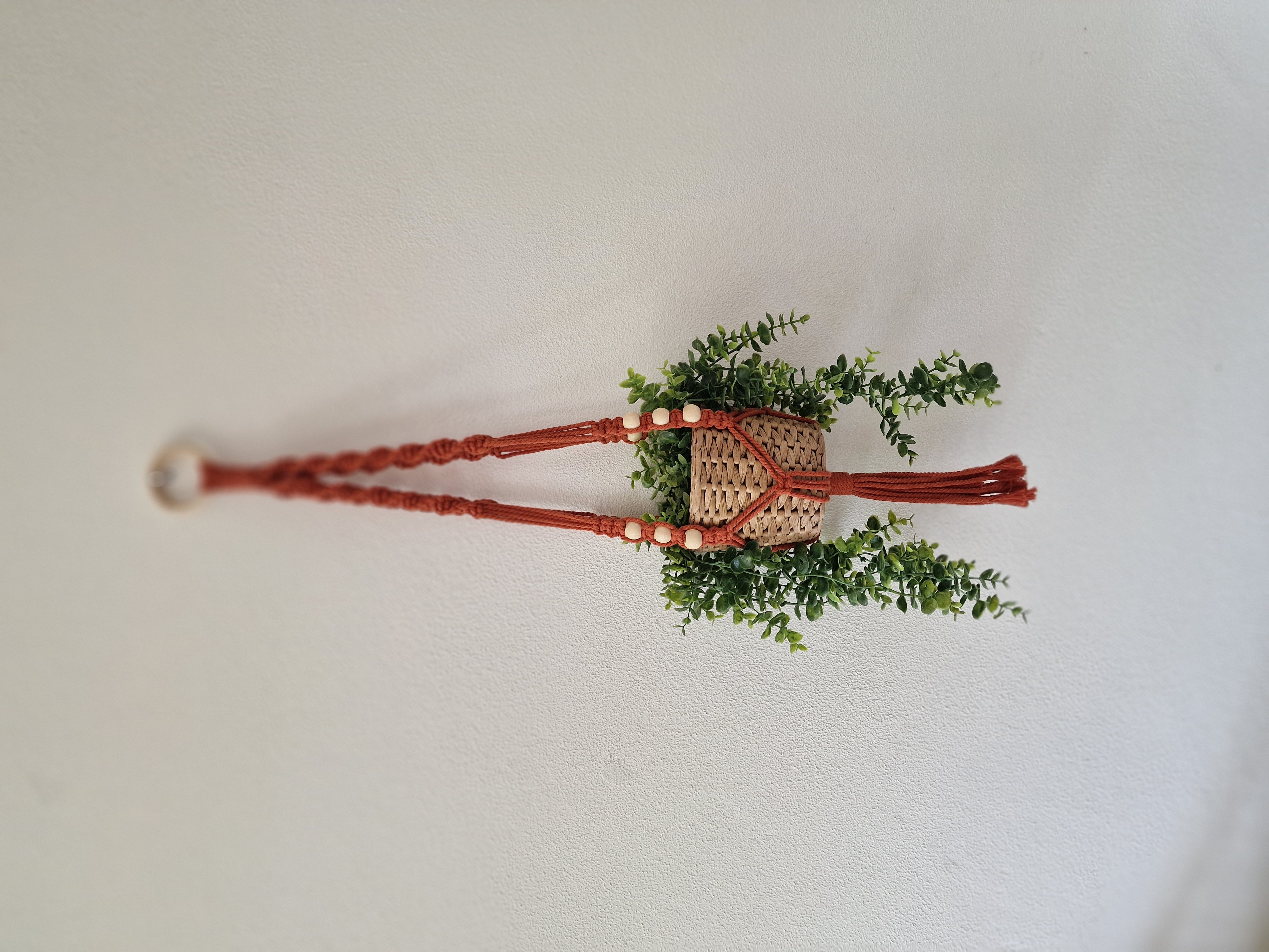 Plantenhanger