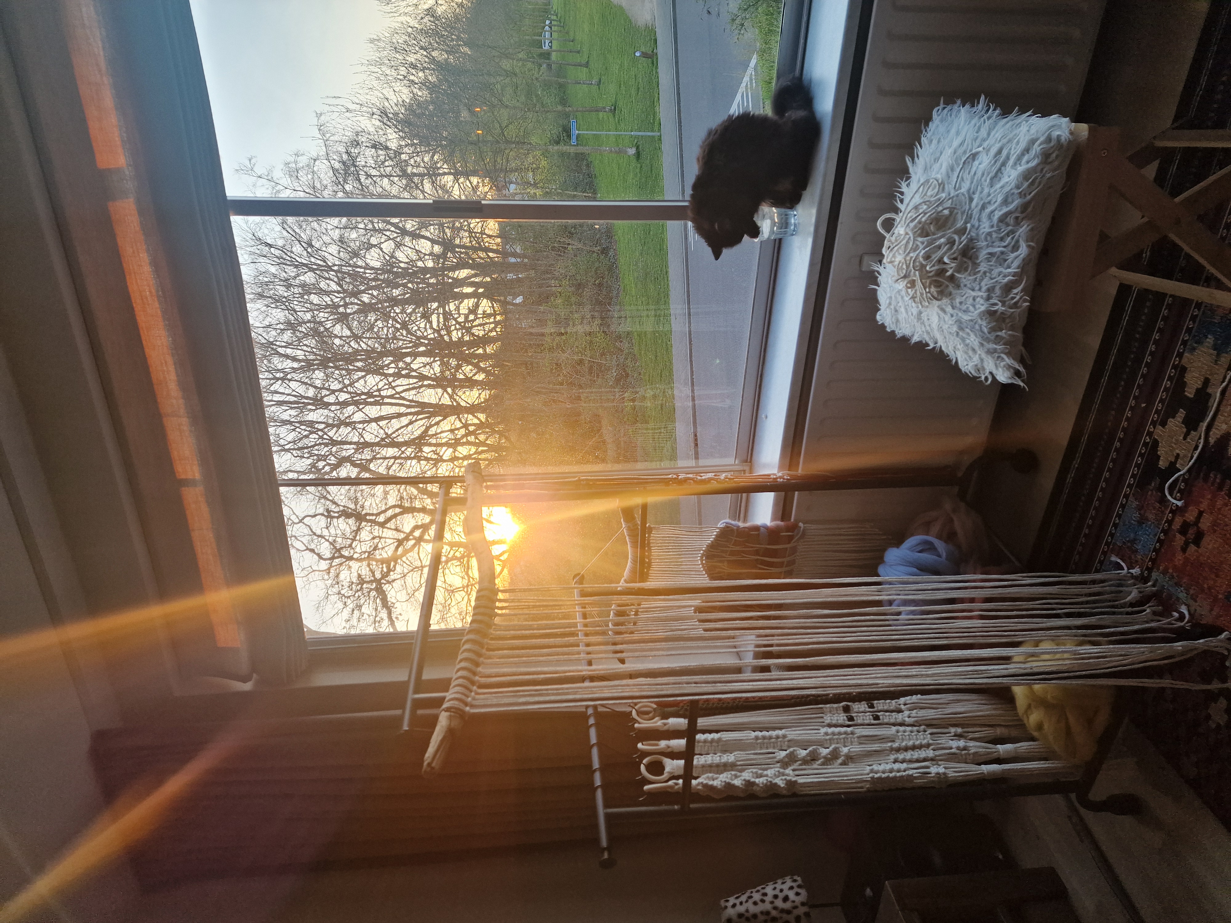 Workshop macramé bij avondzon